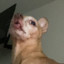 dinoman