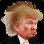 Trumps Hair