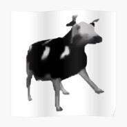Cow_Boogie