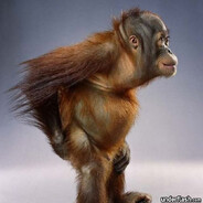 MACACO LOKO⑳ Steam avatar