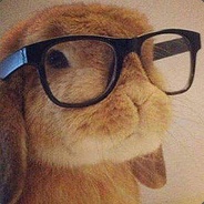 ElbinoBunny - steam id 76561197971761602