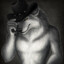 The Alpha