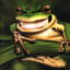 SmileyToad