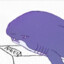 Job_Shark