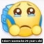 I Dont Wanna Be 20 Years Old