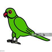 Galli