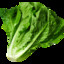 Lettuce