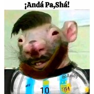 PINGOROCHO avatar