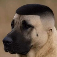 Дава декой - steam id 76561198300766684