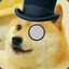 Sir Doge the 4th