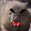 Angry_Wombat