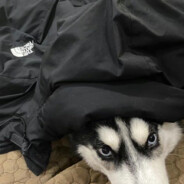 16岁少女怎么守得住B