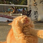 涩慧人