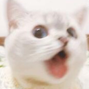 TingleK1ng