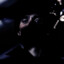 Honeythief.-