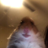 micros