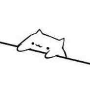 Bongo cat