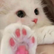 野原向日葵同学