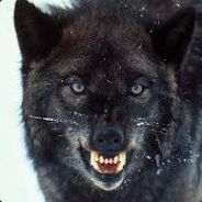 FritzX's Avatar