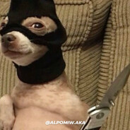 𝑺𝑬𝑵𝑺𝑬𝑰