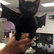 most hated repo player