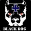 &lt;&lt;*BLACK DOG*{GER}*&gt;&gt;