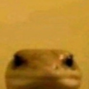 Ютяша