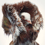 Why¹⁹² avatar