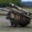 CombatWombat