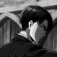 Levi