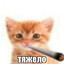 люблю ненавидеть