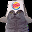 MCLion14