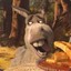 Stupid_Donkey