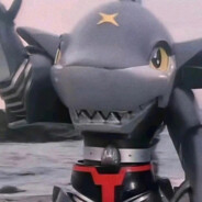 鲨鱼辣椒（50+）