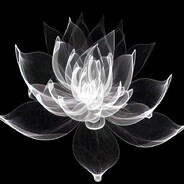 sprzedawcapłynowdonaczyn