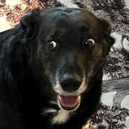 Barry