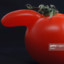 Armenian Tomato