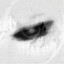 egoist¿