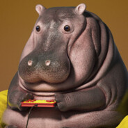 Happy Hippo