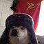 PabloVP