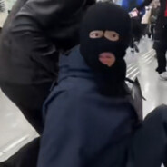 鼠鼠我呀真的打不过力