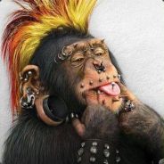 Andzey -  путин пизда