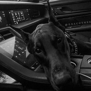 AP9999 - steam id 76561199524126106