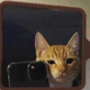 peach ice tea skins.army