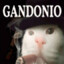 Gandonio