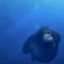 Deep Sea Monkey
