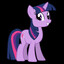 KUCYK PONY