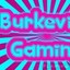 BurkevilleGaming
