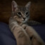 Steam avatar