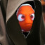 Darth Fisho